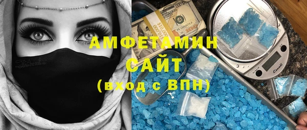 шишки Горно-Алтайск